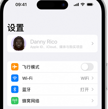 五通桥appleID维修服务iPhone设置中Apple ID显示为灰色无法使用