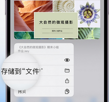 五通桥apple维修中心分享iPhone文件应用中存储和找到下载文件