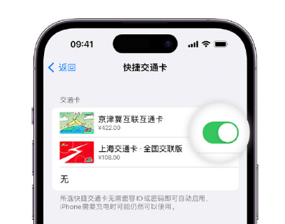 五通桥apple维修点分享iPhone上更换Apple Pay快捷交通卡手绘卡面 