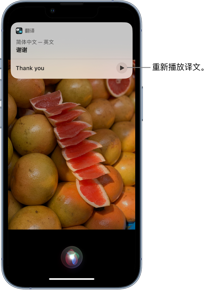 五通桥苹果14维修分享 iPhone 14 机型中使用 Siri：了解 Siri 能帮你做什么 