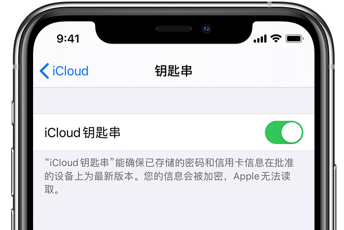 五通桥苹果手机维修分享在 iPhone 上开启 iCloud 钥匙串之后会储存哪些信息 