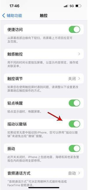 五通桥苹果手机维修分享iPhone手机如何设置摇一摇删除文字 