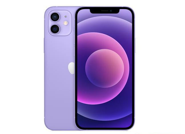 五通桥苹果手机维修分享现阶段要不要入手紫色版iPhone12 